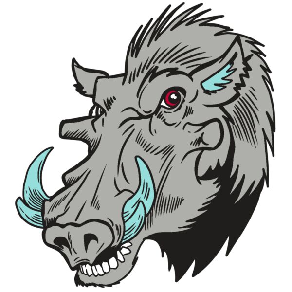 AR20 RAZORBACK 39 RQC Thumbnail